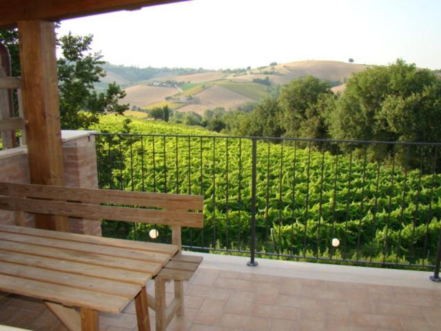 Agriturismo Vecchio Gelso Ortezzano Eksteriør billede