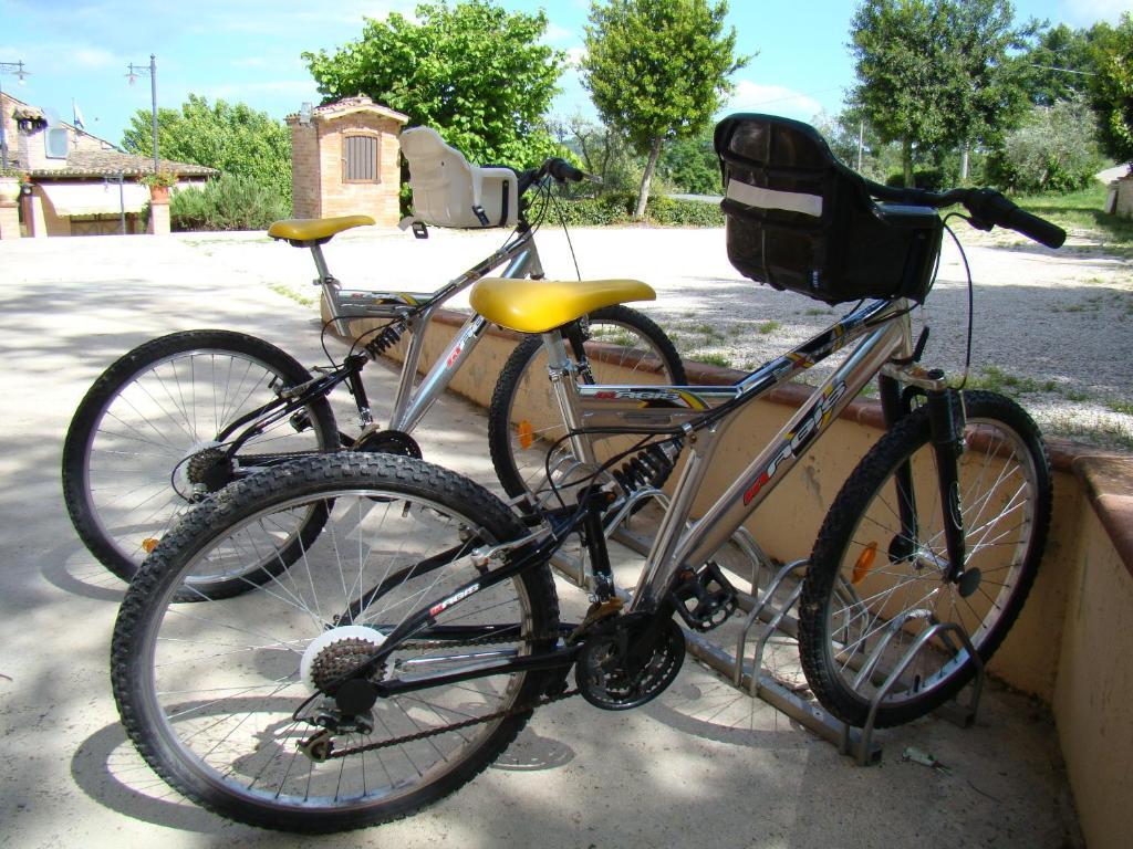 Agriturismo Vecchio Gelso Ortezzano Eksteriør billede