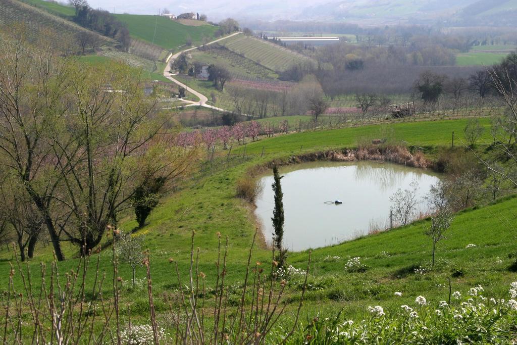 Agriturismo Vecchio Gelso Ortezzano Eksteriør billede